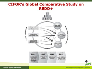 CIFOR’s Global Comparative Study on REDD+ 