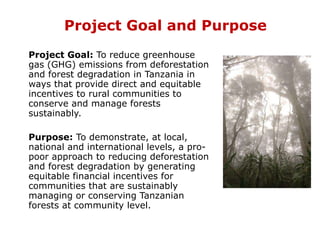 How is REDD+ unfolding on the ground?