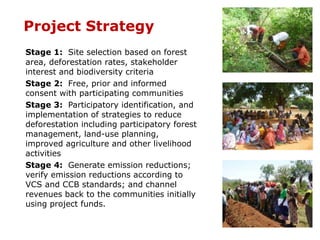 How is REDD+ unfolding on the ground?