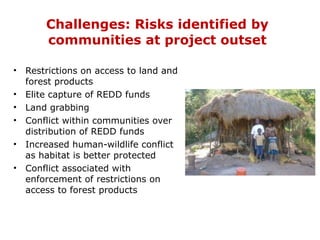 How is REDD+ unfolding on the ground?