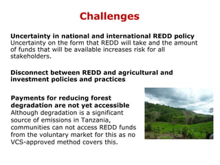 How is REDD+ unfolding on the ground?