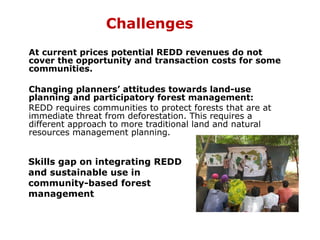 Challenges <ul><li>At current prices potential REDD revenues do not cover the opportunity and transaction costs for some c...