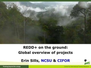 <ul><li>REDD+ on the ground: </li></ul><ul><li>Global overview of projects </li></ul><ul><li>Erin Sills,  NCSU  &  CIFOR <...
