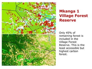 How is REDD+ unfolding on the ground?