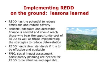 Implementing REDD  on the ground:  lessons learned <ul><li>REDD has the potential to reduce emissions and reduce poverty <...
