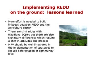 Implementing REDD  on the ground:  lessons learned <ul><li>More effort is needed to build linkages between REDD and the ag...