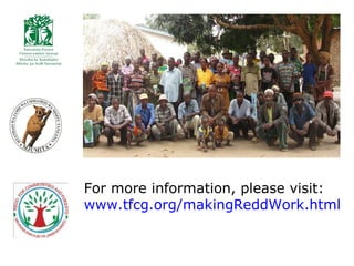 How is REDD+ unfolding on the ground?