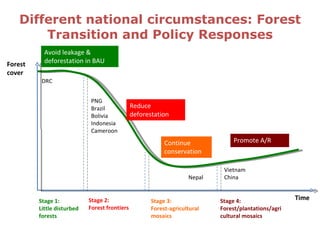 How is REDD+ unfolding on the ground?