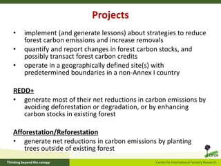 How is REDD+ unfolding on the ground?