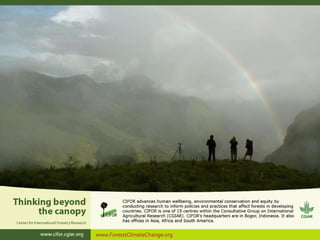 How is REDD+ unfolding on the ground?