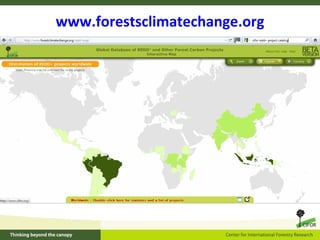 How is REDD+ unfolding on the ground?