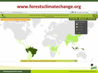 How is REDD+ unfolding on the ground?