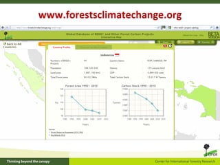 How is REDD+ unfolding on the ground?