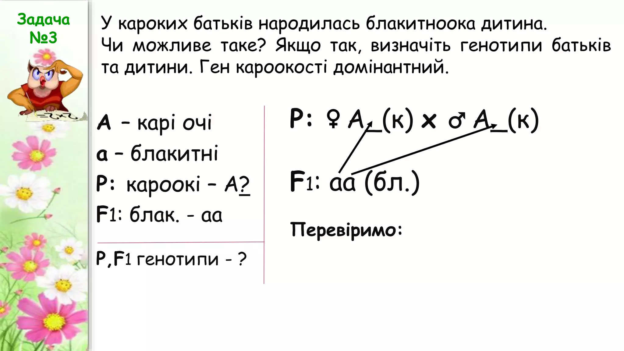 А – карі очі
а – блакитні
Р: кароокі – А?
F1: блак. - аа
Р: ♀ А_(к) х ♂ А_(к)
F1: аа (бл.)
Перевіримо:
Р,F1 генотипи - ?
Задача
№3
У кароких батьків народилась блакитноока дитина.
Чи можливе таке? Якщо так, визначіть генотипи батьків
та дитини. Ген кароокості домінантний.
 