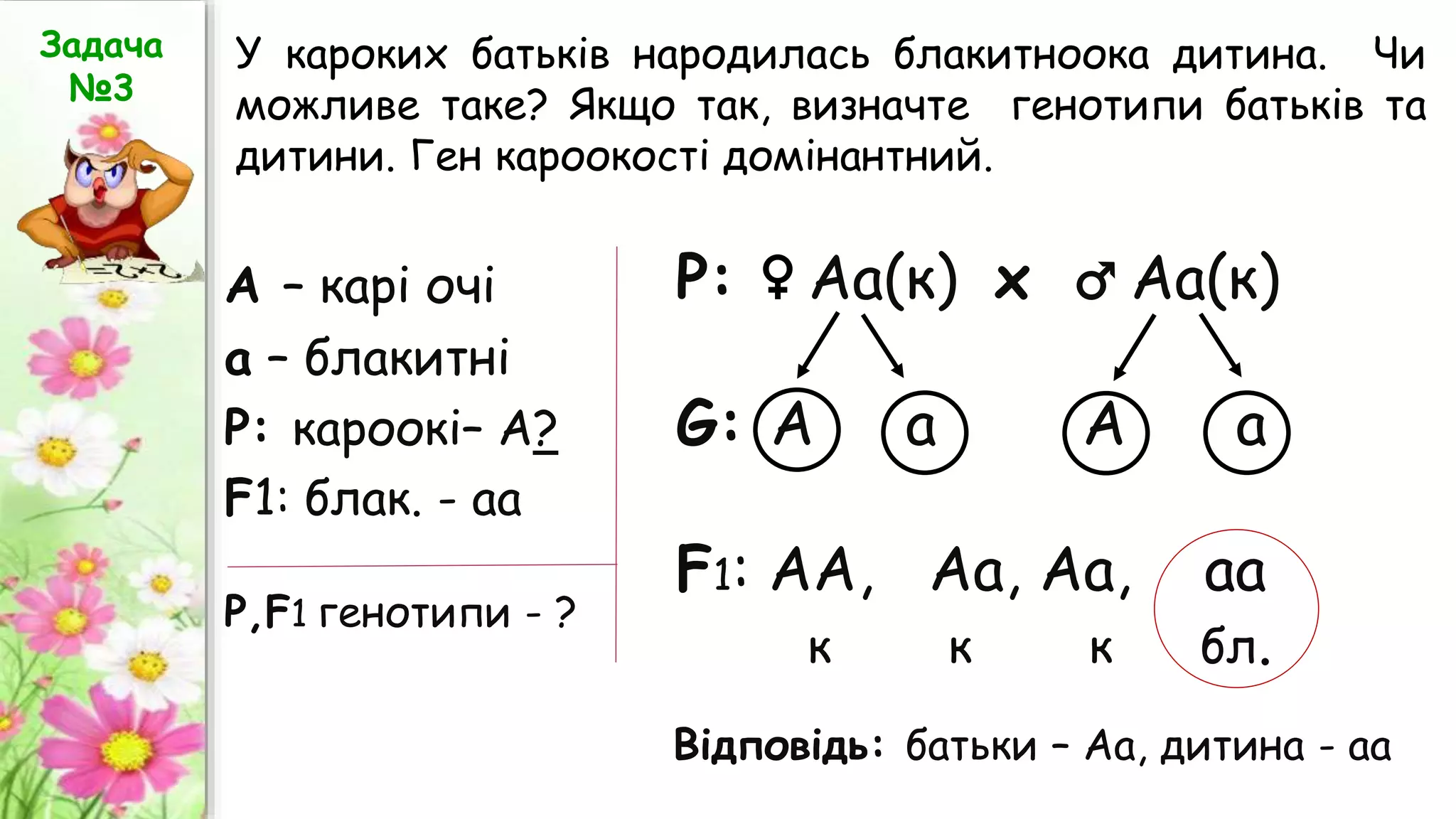 А – карі очі
а – блакитні
Р: кароокі– А?
F1: блак. - аа
Р: ♀ Аа(к) х ♂ Аа(к)
G: А а А а
F1: АА, Аа, Aa, аа
к к к бл.
Відповідь: батьки – Аа, дитина - аа
Р,F1 генотипи - ?
Задача
№3
У кароких батьків народилась блакитноока дитина. Чи
можливе таке? Якщо так, визначте генотипи батьків та
дитини. Ген кароокості домінантний.
 