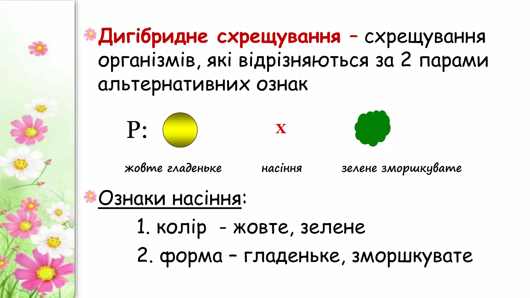 Дигібридне схрещування – схрещування
організмів, які відрізняються за 2 парами
альтернативних ознак
Ознаки насіння:
1. колір - жовте, зелене
2. форма – гладеньке, зморшкувате
P: X
жовте гладеньке насіння зелене зморшкувате
 