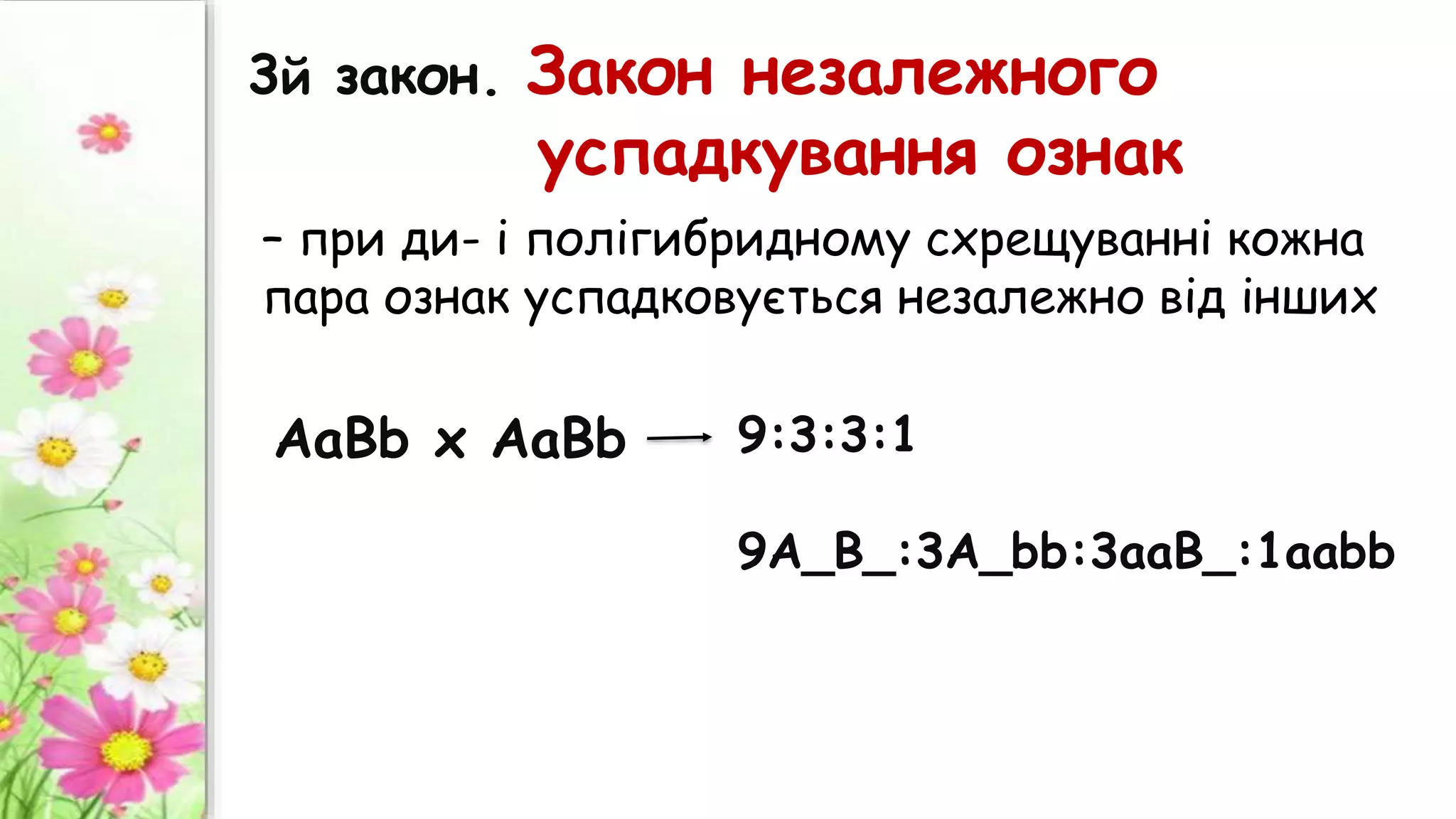 3й закон. Закон незалежного
успадкування ознак
– при ди- і полігибридному схрещуванні кожна
пара ознак успадковується незалежно від інших
АаВb х АаВb 9:3:3:1
9А_В_:3А_bb:3ааВ_:1ааbb
 