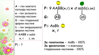 А – ген жовтого
кольору насінин
а – ген зеленого
кольору насінин
B – ген гладенької
форми насіння
b – ген зморшкуватої
форми насіння
Р: ААВВ х aabb
ж, г з, зм.
Р: ♀ ААВВ(ж,г) х ♂ ааbb(з,зм)
G: АВ аb
F1: АаВb
ж, г
За генотипом – АаВb – 100%
За фенотипом – з жовтими
гладеньким насінням - 100%
F1 - ?
 