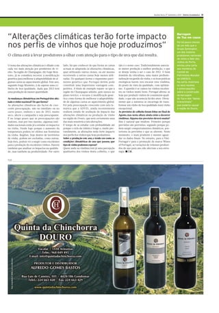 Bruno Prats – Uma referência internacional do vinho – Maria João de Almeida