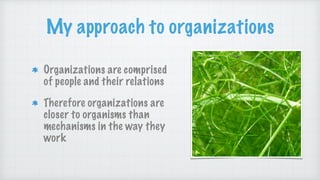 My approach to organizations
Organizations are comprised
of people and their relations
Therefore organizations are
closer ...
