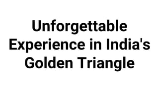 Unforgettable
Experience in India's
Golden Triangle
 