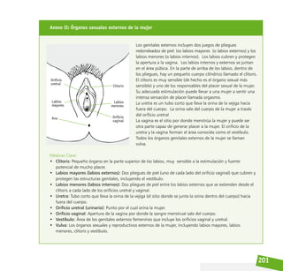 201
Anexo II: Órganos sexuales externos de la mujer
Los genitales externos incluyen dos juegos de pliegues
redondeados de piel: los labios mayores (o labios externos) y los
labios menores (o labios internos). Los labios cubren y protegen
la apertura a la vagina. Los labios internos y externos se juntan
en el área púbica. En la parte de arriba de los labios, dentro de
los pliegues, hay un pequeño cuerpo cilíndrico llamado el clítoris.
El clítoris es muy sensible (de hecho es el órgano sexual más
sensible) y uno de los responsables del placer sexual de la mujer.
Su adecuada estimulación puede llevar a una mujer a sentir una
intensa sensación de placer llamada orgasmo.
La uretra es un tubo corto que lleva la orina de la vejiga hacia
fuera del cuerpo. La orina sale del cuerpo de la mujer a través
del orificio uretral
La vagina es el sitio por donde menstrúa la mujer y puede ser
otra parte capaz de generar placer a la mujer. El orificio de la
uretra y la vagina forman el área conocida como el vestíbulo.
Todos los órganos genitales externos de la mujer se llaman
vulva.
Palabras Clave
• Clítoris: Pequeño órgano en la parte superior de los labios, muy sensible a la estimulación y fuente
potencial de mucho placer.
• Labios mayores (labios externos): Dos pliegues de piel (uno de cada lado del orificio vaginal) que cubren y
protegen las estructuras genitales, incluyendo el vestíbulo.
• Labios menores (labios internos): Dos pliegues de piel entre los labios externos que se extienden desde el
clítoris a cada lado de los orificios uretral y vaginal.
• Uretra: Tubo corto que lleva la orina de la vejiga (el sitio donde se junta la orina dentro del cuerpo) hacia
fuera del cuerpo.
• Orificio uretral (urinario): Punto por el cual orina la mujer.
• Orificio vaginal: Apertura de la vagina por donde la sangre menstrual sale del cuerpo.
• Vestíbulo: Área de los genitales externos femeninos que incluye los orificios vaginal y uretral.
• Vulva: Los órganos sexuales y reproductivos externos de la mujer, incluyendo labios mayores, labios
menores, clítoris y vestíbulo.
 