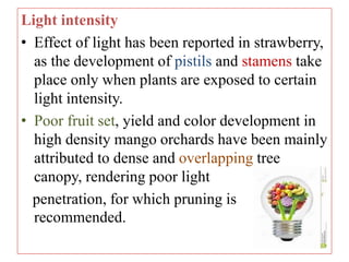 Light intensity
• Effect of light has been reported in strawberry,
as the development of pistils and stamens take
place only when plants are exposed to certain
light intensity.
• Poor fruit set, yield and color development in
high density mango orchards have been mainly
attributed to dense and overlapping tree
canopy, rendering poor light
penetration, for which pruning is
recommended.
 