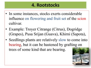 4. Rootstocks
• In some instances, stocks exerts considerable
influence on flowering and fruit set of the scion
cultivar.
• Example: Troyer Citrange (Citrus), Dogridge
(Grapes), Pusa Srijan (Guava), Khirni (Sapota),
• Seedlings plants are relatively slow to come into
bearing, but it can be hastened by grafting on
trees of some kind that are bearing.
 