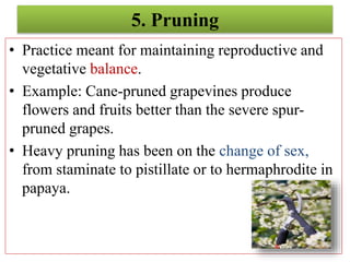 5. Pruning
• Practice meant for maintaining reproductive and
vegetative balance.
• Example: Cane-pruned grapevines produce
flowers and fruits better than the severe spur-
pruned grapes.
• Heavy pruning has been on the change of sex,
from staminate to pistillate or to hermaphrodite in
papaya.
 