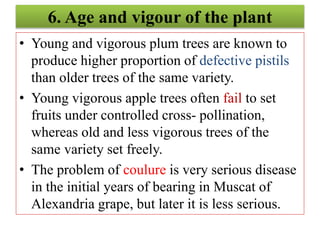 6. Age and vigour of the plant
• Young and vigorous plum trees are known to
produce higher proportion of defective pistils
than older trees of the same variety.
• Young vigorous apple trees often fail to set
fruits under controlled cross- pollination,
whereas old and less vigorous trees of the
same variety set freely.
• The problem of coulure is very serious disease
in the initial years of bearing in Muscat of
Alexandria grape, but later it is less serious.
 