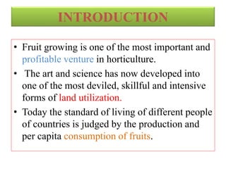 INTRODUCTION
• Fruit growing is one of the most important and
profitable venture in horticulture.
• The art and science has now developed into
one of the most deviled, skillful and intensive
forms of land utilization.
• Today the standard of living of different people
of countries is judged by the production and
per capita consumption of fruits.
 