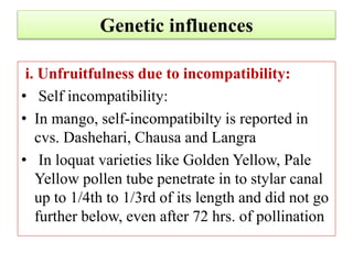 Genetic influences
i. Unfruitfulness due to incompatibility:
• Self incompatibility:
• In mango, self-incompatibilty is reported in
cvs. Dashehari, Chausa and Langra
• In loquat varieties like Golden Yellow, Pale
Yellow pollen tube penetrate in to stylar canal
up to 1/4th to 1/3rd of its length and did not go
further below, even after 72 hrs. of pollination
 