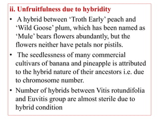 ii. Unfruitfulness due to hybridity
• A hybrid between ‘Troth Early’ peach and
‘Wild Goose’ plum, which has been named as
‘Mule’ bears flowers abundantly, but the
flowers neither have petals nor pistils.
• The seedlessness of many commercial
cultivars of banana and pineapple is attributed
to the hybrid nature of their ancestors i.e. due
to chromosome number.
• Number of hybrids between Vitis rotundifolia
and Euvitis group are almost sterile due to
hybrid condition
 