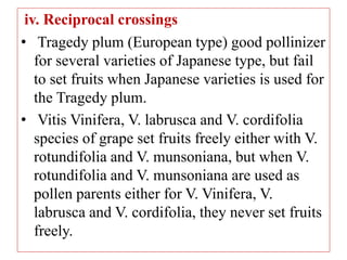 iv. Reciprocal crossings
• Tragedy plum (European type) good pollinizer
for several varieties of Japanese type, but fail
to set fruits when Japanese varieties is used for
the Tragedy plum.
• Vitis Vinifera, V. labrusca and V. cordifolia
species of grape set fruits freely either with V.
rotundifolia and V. munsoniana, but when V.
rotundifolia and V. munsoniana are used as
pollen parents either for V. Vinifera, V.
labrusca and V. cordifolia, they never set fruits
freely.
 