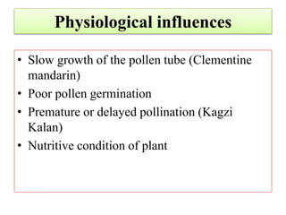 Physiological influences
• Slow growth of the pollen tube (Clementine
mandarin)
• Poor pollen germination
• Premature or delayed pollination (Kagzi
Kalan)
• Nutritive condition of plant
 