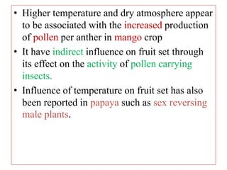 • Higher temperature and dry atmosphere appear
to be associated with the increased production
of pollen per anther in mango crop
• It have indirect influence on fruit set through
its effect on the activity of pollen carrying
insects.
• Influence of temperature on fruit set has also
been reported in papaya such as sex reversing
male plants.
 