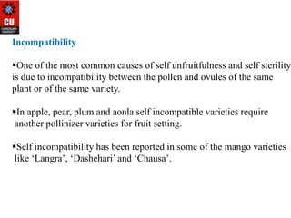Apple Incompatibility Unfruitfulness (1).ppt