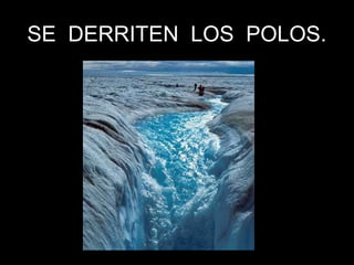 SE DERRITEN LOS POLOS.SE DERRITEN LOS POLOS.
 