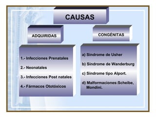 CAUSAS ADQUIRIDAS 1.- Infecciones Prenatales 2.- Neonatales 3.- Infecciones Post natales 4.- Fármacos Ototóxicos a) Síndrome de Usher b) Síndrome de Wanderburg c) Síndrome tipo Alport. d) Malformaciones:Scheibe,  Mondini. CONGÉNITAS 