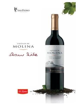 C



 M



 Y



CM



MY



CY



CMY



 K
 