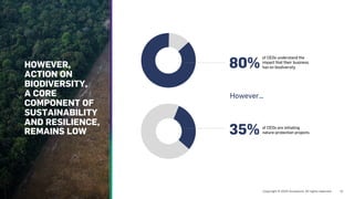 of CEOs understand the
impact that their business
has on biodiversity
80%
of CEOs are initiating
nature-protection projects
35%
HOWEVER,
ACTION ON
BIODIVERSITY,
A CORE
COMPONENT OF
SUSTAINABILITY
AND RESILIENCE,
REMAINS LOW
However…
 