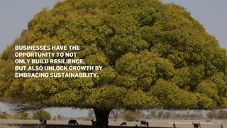 BUSINESSES HAVE THE
OPPORTUNITY TO NOT
ONLY BUILD RESILIENCE,
BUT ALSO UNLOCK GROWTH BY
EMBRACING SUSTAINABILITY.
Copyright © 2023 Accenture. All rights reserved. 13
 