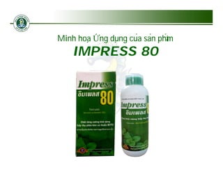 Minh hoạ Ứng dụng của sản phẩm
     hoạ     dụng củ sả phâ
    IMPRESS 80
 