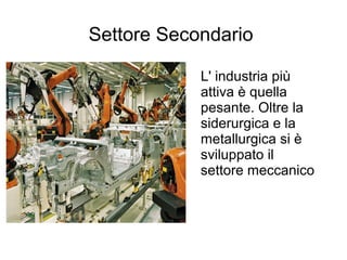 Settore Secondario
L' industria più
attiva è quella
pesante. Oltre la
siderurgica e la
metallurgica si è
sviluppato il
settore meccanico
 