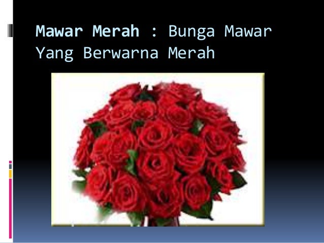 50 Ungkapan warna lengkap dengan gambar 