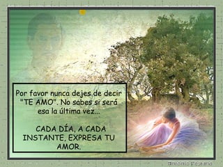 Por favor nunca dejes de decir "TE AMO". No sabes si será esa la última vez...   CADA DÍA, A CADA INSTANTE, EXPRESA TU AMOR. 