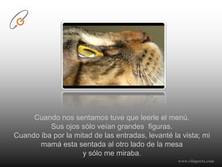 Cuando nos sentamos tuve que leerle el menú. Sus ojos sólo veían grandes  figuras.Cuando iba por la mitad de las entradas, levanté la vista; mi mamá esta sentada al otro lado de la mesa y sólo me miraba. www.vilaporta.com  