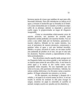 75
hermosa pareja de cisnes que nadaban de aquí para allá,
buscando alimento. Para ello introducían su cabeza en el
agua y extraían el luchecillo que se formaba en el fondo.
Los cisnes destacaban por su tamaño y la blancura impe-
cable de su plumaje; además su arqueado y gracioso
cuello negro, le proporcionaba un toque de elegancia
insuperable.
Como se encontraban relativamente cerca de
nuestra posición, nos pusimos de acuerdo para
dispararles sendas pedradas con nuestras hondas. Fue así
como a una orden dada por mi hermano, apuntamos a
nuestro objetivo, fallando en los cuatro intentos. Las
aves al percatarse de nuestra presencia, comenzaron a
patalear sobre el agua y con una lentitud increíble,
debido a su peso, elevaron el vuelo, no sin antes recibir
una andanada de piedras en el aire, sin que ni una sola
las alcanzara. Nuestro corazón y especialmente el mío,
latía aceleradamente…
Nos divertimos mucho aquella tarde, porque en el
río Puquetrín había una artesa grande y nos metimos en
su interior para remar de una orilla a otra. A mis botas le
entró agua y la artesa se dio vuelta varias veces
quedando todos mojados. No nos importaba que nos
reten en la casa, sólo queríamos divertirnos. Además, las
nalcas estaban deliciosas y les llevamos varias a nuestros
padres. Al llegar solamente nos miraron y se rieron.
Al día siguiente, era domingo y después de a
ordeña, a mi papá se le ocurrió matar un chivo. A mí me
tocaba la misión de sostener la olla para recoger la
sangre, mientras mi papá le enterraba el cuchillo al
animal; siempre ocurría así: pasaba con los chanchos y
 