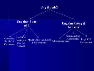 Ung thư phổi
Ung thư không tế
bào nhỏ
Mixed Small Cell/Large
CellCarcinoma
Ung thư tế bào
nhỏ
Large Cell
Carcinomas
Small Cell
Carcinoma
(Oat cell
Cancer)
Squamous Cell
Carcinomas
Adenocarcinomas
Combined
Small Cell
Carcinoma
 