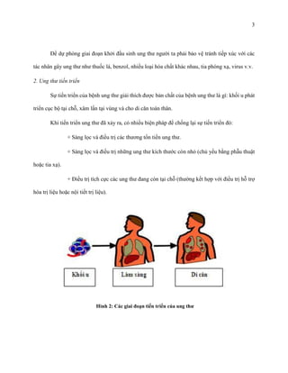 3

Để dự phòng giai đoạn khởi đầu sinh ung thư người ta phải bảo vệ tránh tiếp xúc với các
tác nhân gây ung thư như thuốc lá, benzol, nhiều loại hóa chất khác nhau, tia phóng xạ, virus v.v.
2. Ung thư tiến triển
Sự tiến triển của bệnh ung thư giải thích được bản chất của bệnh ung thư là gì: khối u phát
triển cục bộ tại chỗ, xâm lấn tại vùng và cho di căn toàn thân.
Khi tiến triển ung thư đã xảy ra, có nhiều biện pháp để chống lại sự tiến triển đó:
+ Sàng lọc và điều trị các thương tổn tiền ung thư.
+ Sàng lọc và điều trị những ung thư kích thước còn nhỏ (chủ yếu bằng phẫu thuật
hoặc tia xạ).
+ Điều trị tích cực các ung thư đang còn tại chỗ (thường kết hợp với điều trị hỗ trợ
hóa trị liệu hoặc nội tiết trị liệu).

Hình 2: Các giai đoạn tiến triển của ung thƣ

 